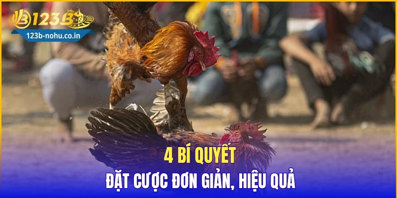4 bí quyết đặt cược đơn giản, hiệu quả