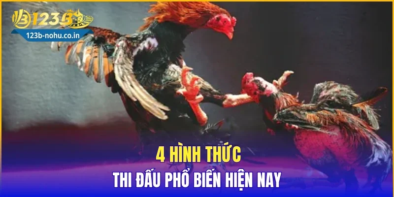 4 hình thức thi đấu phổ biến hiện nay