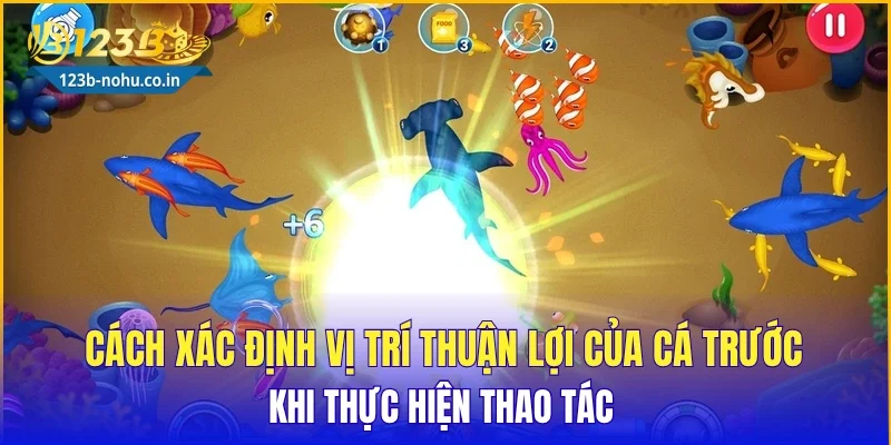 Cách xác định vị trí thuận lợi của cá trước khi thực hiện thao tác