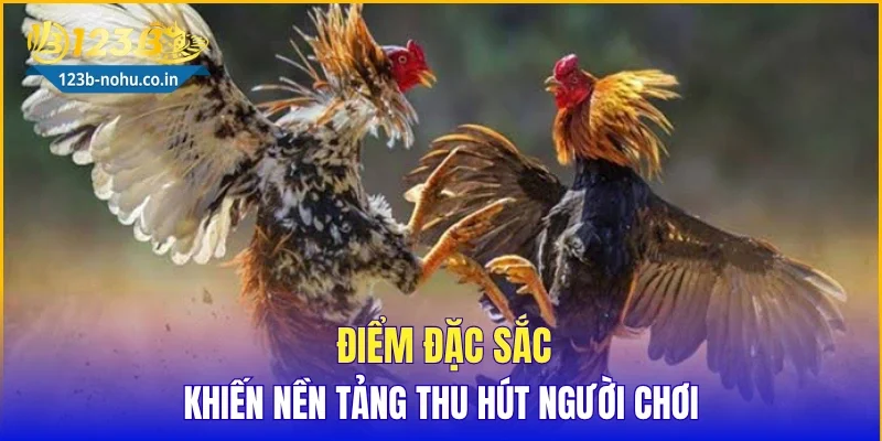 Điểm đặc sắc khiến nền tảng thu hút người chơi