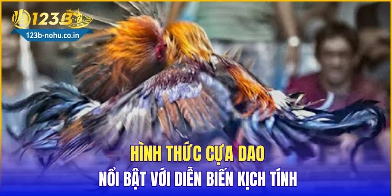 Hình thức cựa dao nổi bật với diễn biến kịch tính