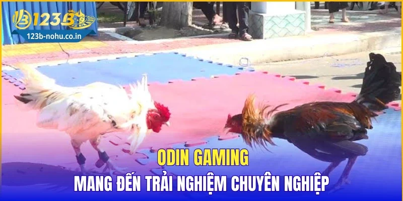 ODIN Gaming mang đến trải nghiệm chuyên nghiệp