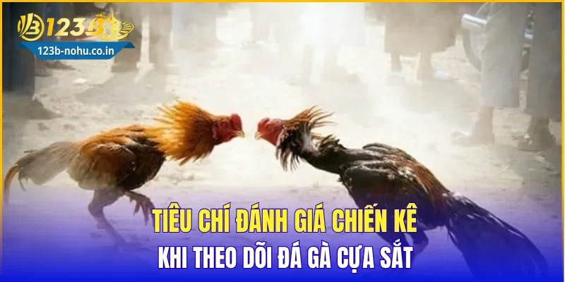Tiêu chí đánh giá chiến kê khi theo dõi Đá Gà Cựa Sắt
