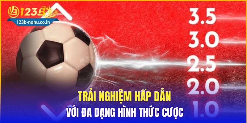 Trải nghiệm hấp dẫn với đa dạng hình thức cược
